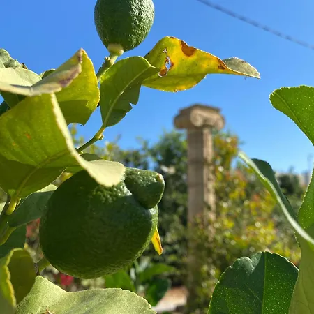 Eos * Καλαβάρδα